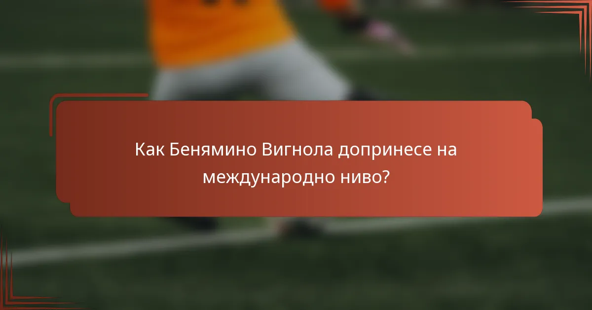 Как Беняминo Вигнола допринесе на международно ниво?