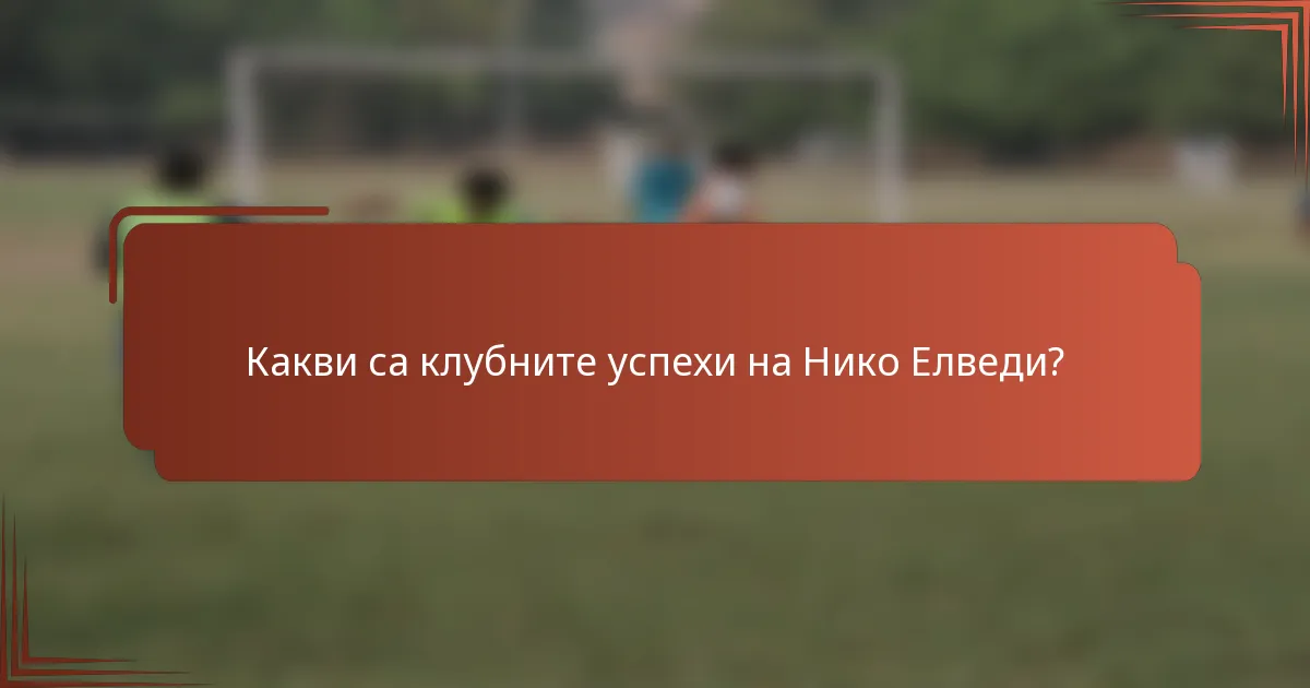 Какви са клубните успехи на Нико Елведи?